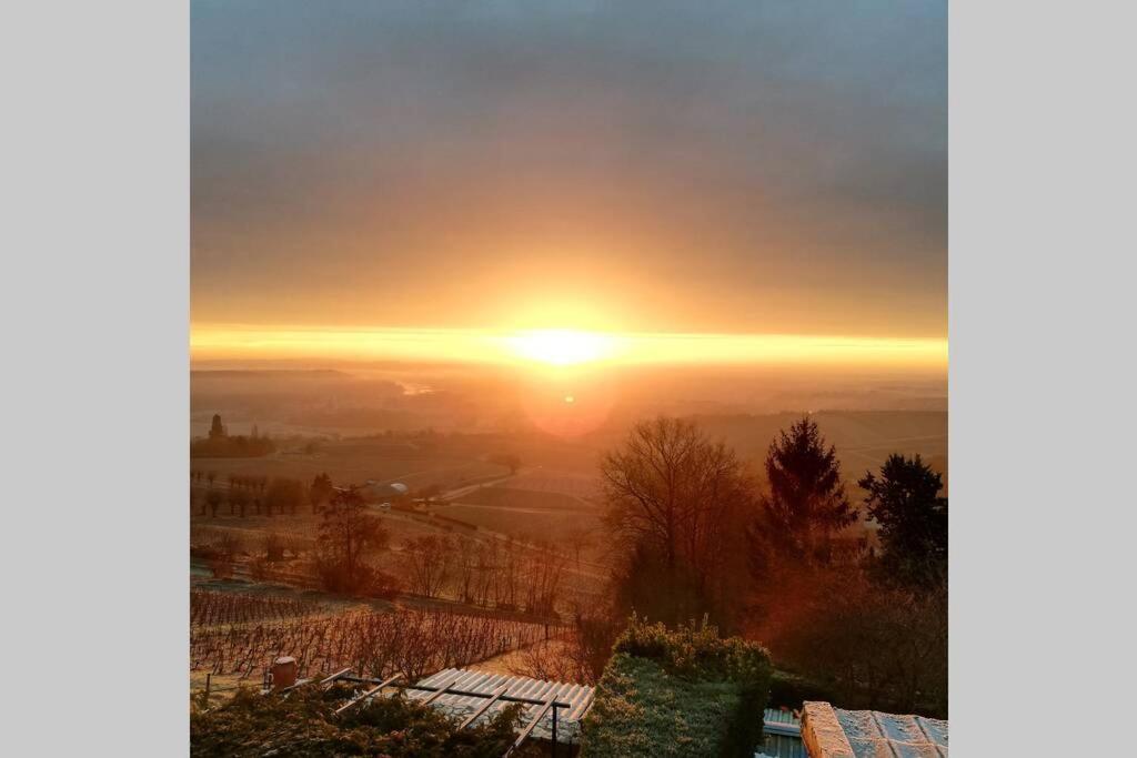 Vue Panoramique Sur Le Vignoble Apartment ซ็องแซร์ ภายนอก รูปภาพ